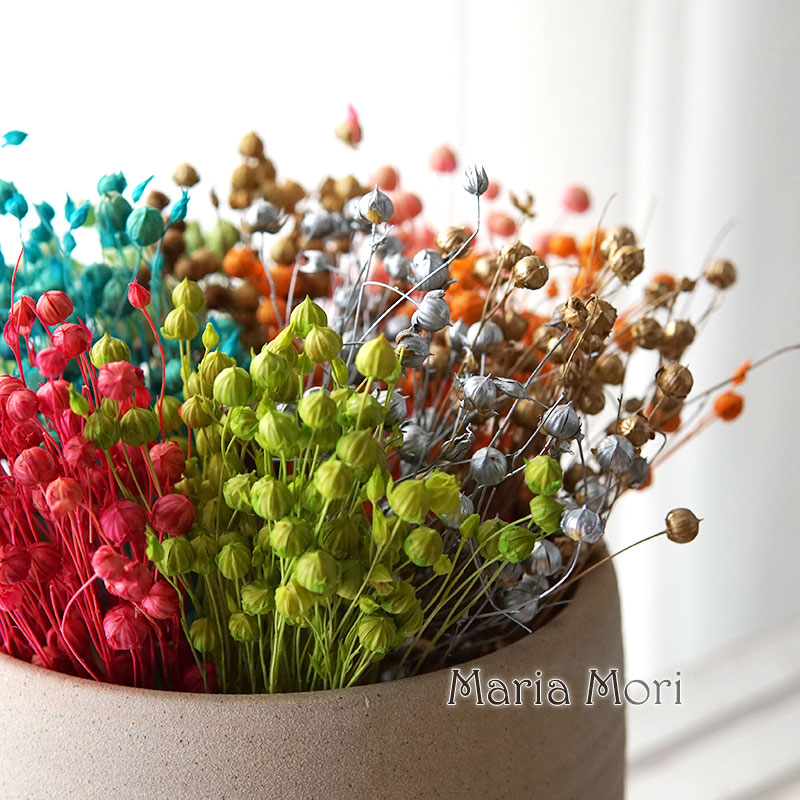 Dried Flower Bulk - 5g/Konserwowane nasiona lnu Naturalne prawdziwe kwiaty