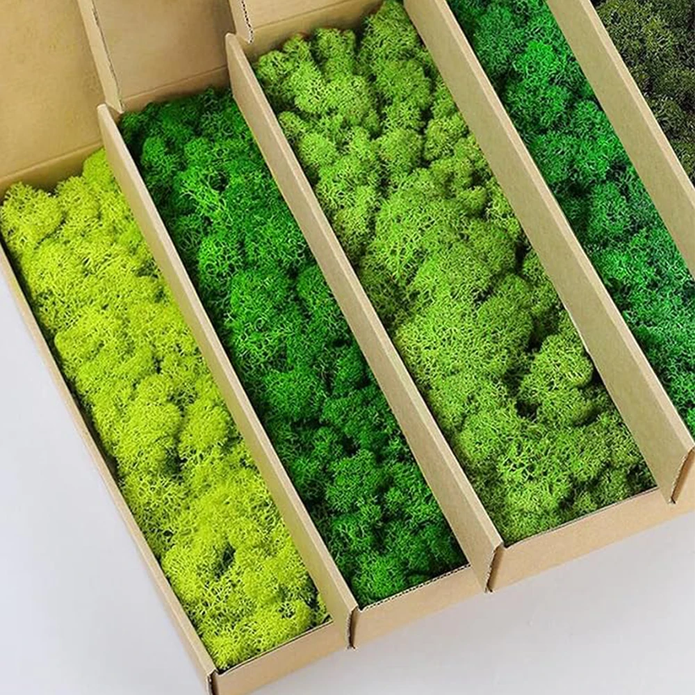 20-200g Sztuczne rośliny zielo – Terrarium Moss Art recenzja i cena