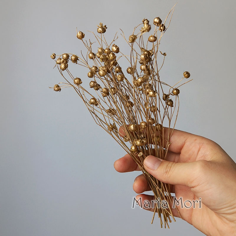 5g/Konserwowane nasiona lnu Na – Dried Flower Bulk recenzja i cena