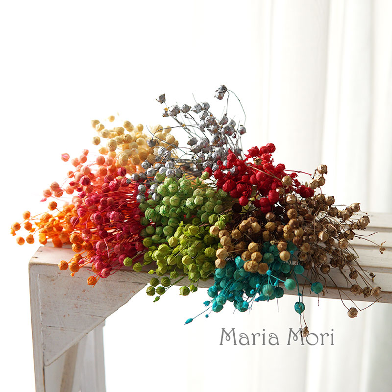 5g/Konserwowane nasiona lnu Na – Dried Flower Bulk recenzja i cena