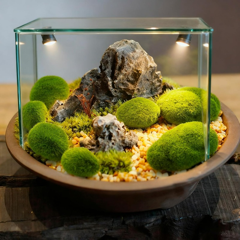 50/5 SZT. Sztuczne piankowe ka – Terrarium Moss Art recenzja i cena